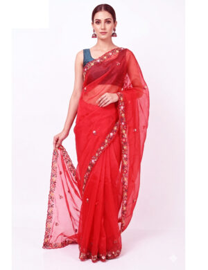 Red Organza Saree with Hand Embroidery